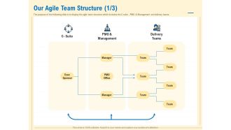 Prioritization Techniques For Software Development And Testing Our Agile Team Structure Manager Demonstration PDF