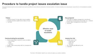 Procedure To Handle Project Issues Escalation Issue Designs PDF
