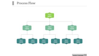 Process Flow Ppt PowerPoint Presentation Portfolio