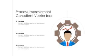 Process Improvement Consultant Vector Icon Ppt PowerPoint Presentation File Demonstration PDF