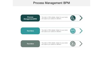 Process Management Bpm Ppt Powerpoint Presentation Model Tips Cpb