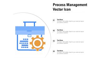 Process Management Vector Icon Ppt PowerPoint Presentation Ideas Icon PDF