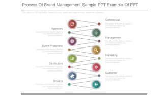 Process Of Brand Management Sample Ppt Example Of Ppt