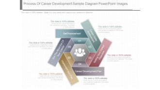 Process Of Career Development Sample Diagram Powerpoint Images