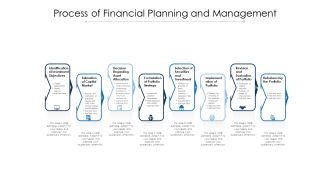 Process Of Financial Planning And Management Ppt PowerPoint Presentation Infographics Elements PDF