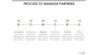 Process To Manage Partners Ppt PowerPoint Presentation Layouts Topics