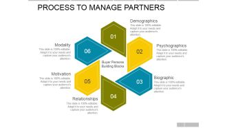 Process To Manage Partners Ppt PowerPoint Presentation Outline Layout Ideas