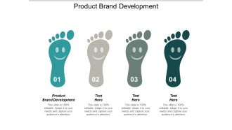 Product Brand Development Ppt PowerPoint Presentation Icon Template
