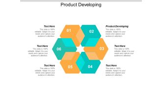 Product Developing Ppt PowerPoint Presentation Summary Cpb