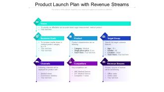 Product Launch Plan With Revenue Streams Ppt PowerPoint Presentation File Outline PDF