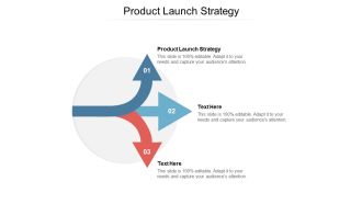 Product Launch Strategy Ppt Powerpoint Presentation Ideas Graphics Design Cpb