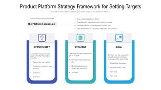 Product Platform Strategy Framework For Setting Targets Guidelines PDF