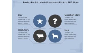 Product Portfolio Matrix Ppt PowerPoint Presentation Example 2015