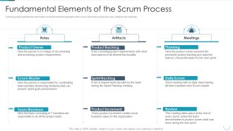 Professional Agile Master Certification Procedure Information Technology Fundamental Elements Of The Scrum Slides PDF