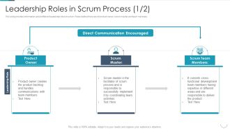 Professional Agile Master Certification Procedure Information Technology Leadership Roles In Scrum Process Summary PDF