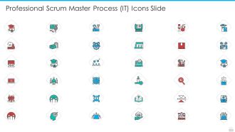 Professional Scrum Master Process IT Icons Slide Portrait PDF