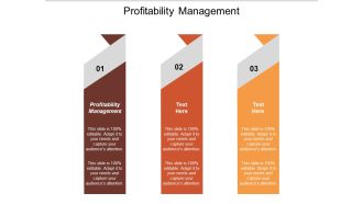 Profitability Management Ppt PowerPoint Presentation Infographic Template Template