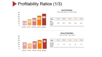 Profitability Ratios Template 1 Ppt PowerPoint Presentation Icon Example File