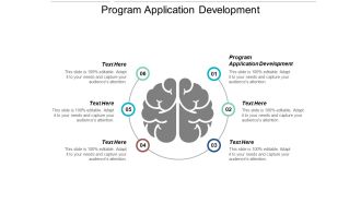 Program Application Development Ppt Powerpoint Presentation Portfolio Show Cpb