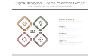 Program Management Process Presentation Examples