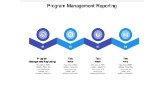 Program Management Reporting Ppt PowerPoint Presentation File Smartart Cpb