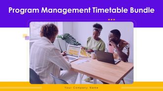 Program Management Timetable Bundle Ppt PowerPoint Presentation Complete Deck