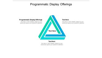 Programmatic Display Offerings Ppt PowerPoint Presentation Portfolio Mockup Cpb Pdf