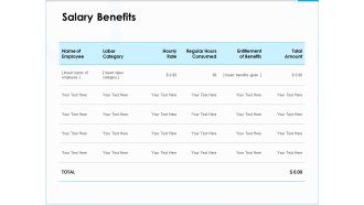 Project Budget Salary Benefits Ppt PowerPoint Presentation File Examples PDF