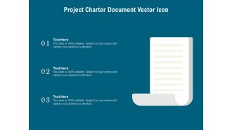 Project Charter Document Vector Icon Ppt PowerPoint Presentation File Background Designs PDF
