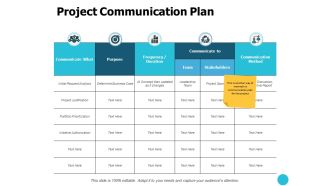 Project Communication Plan Ppt PowerPoint Presentation Layouts Graphic Images