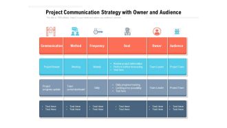 Project Communication Strategy With Owner And Audience Ppt PowerPoint Presentation Portfolio Portrait PDF