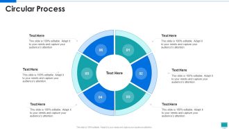 Project Development Expert IT Circular Process Ppt PowerPoint Presentation File Graphics Pictures PDF