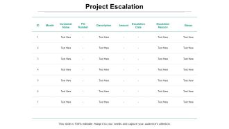 Project Escalation Ppt PowerPoint Presentation Ideas