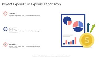 Project Expenditure Expense Report Icon Ppt Infographics Skills PDF
