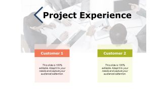 Project Experience Ppt PowerPoint Presentation Ideas Clipart