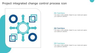 Project Integrated Change Control Process Icon Summary PDF
