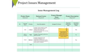 Project Issues Management Ppt PowerPoint Presentation Summary Format Ideas