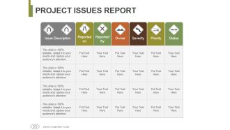 Project Issues Report Ppt PowerPoint Presentation Gallery Layout