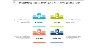 Project Management And Setting Objectives Planning And Execution Ppt PowerPoint Presentation Visual Aids Summary