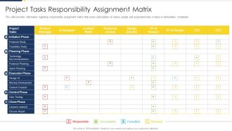 Project Management Development Project Tasks Responsibility Assignment Matrix Infographics PDF