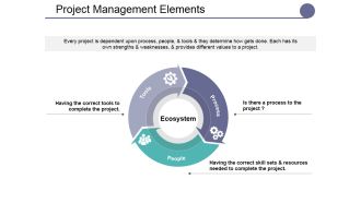 Project Management Elements Ppt PowerPoint Presentation Layouts Design Ideas