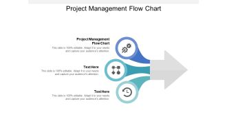 Project Management Flow Chart Ppt PowerPoint Presentation Show Pictures