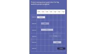 Project Management Gantt Chart For Big Analytics Project Proposal One Pager Sample Example Document