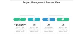 Project Management Process Flow Ppt PowerPoint Presentation Pictures Example Cpb