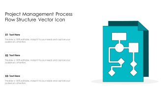 Project Management Process Flow Structure Vector Icon Ppt PowerPoint Presentation Gallery Slide Download PDF
