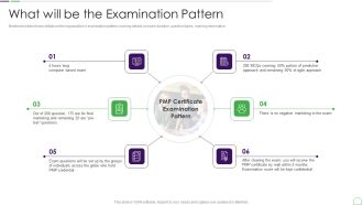 Project Management Professional Guide IT What Will Be The Examination Pattern Slides PDF