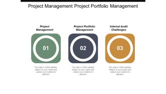 Project Management Project Portfolio Management Internal Audit Challenges Ppt PowerPoint Presentation Portfolio Slide