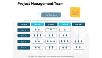 Project Management Team Ppt PowerPoint Presentation Inspiration Icon
