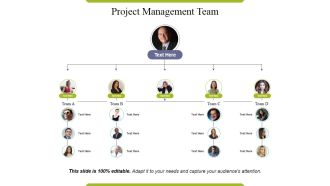 Project Management Team Ppt PowerPoint Presentation Layouts Layout Ideas