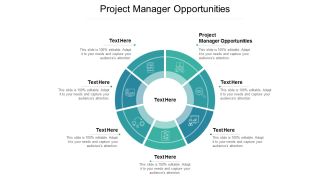 Project Manager Opportunities Ppt PowerPoint Presentation Visual Aids Background Images Cpb